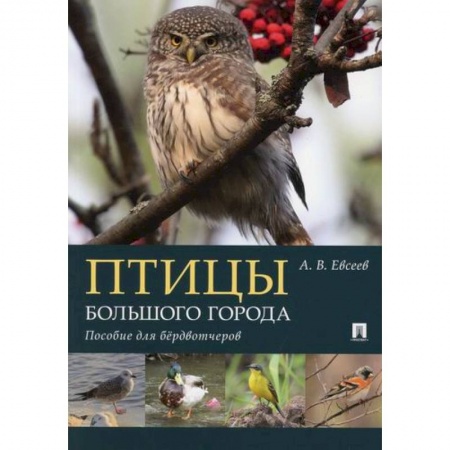 Естественные науки, книга Птицы большого города