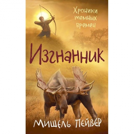 Фантастика, фэнтези, книга Хроники темных времен.Кн.4.Изгнанник