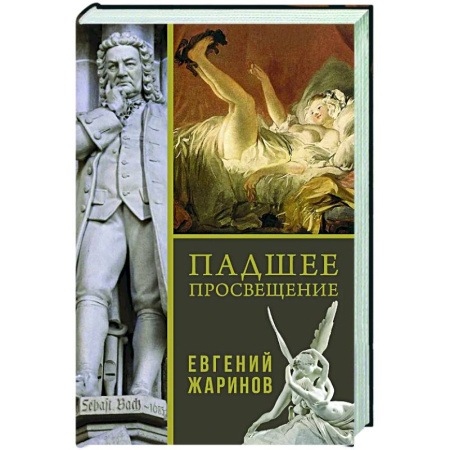 Новая и новейшая история, книга Падшее просвещение