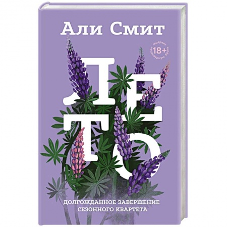 Классика, современная литература, книга Лето