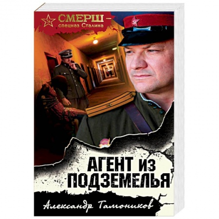 Детективы, триллеры, книга Агент из подземелья