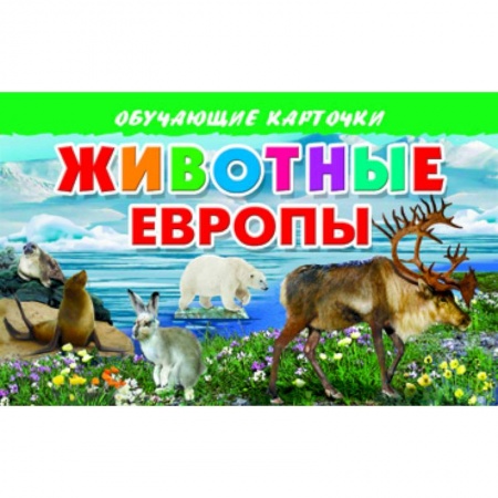 Книги, книга Карточки. Животные Европы