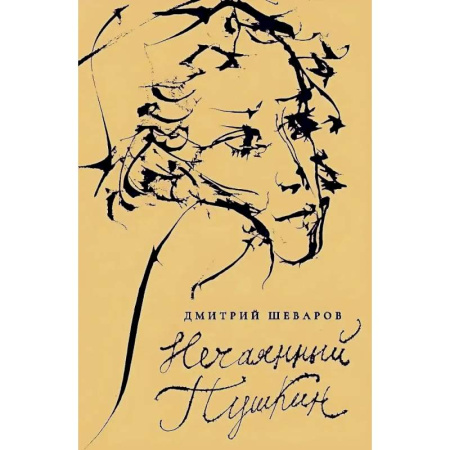 Школьникам и абитуриентам, книга Нечаянный Пушкин. Читательский дневник