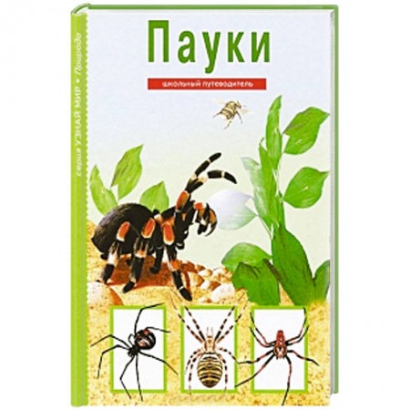 Книги, книга Пауки. Школьный путеводитель