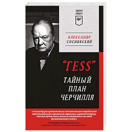 Детективы, триллеры, книга ГESS Тайный план Черчилля