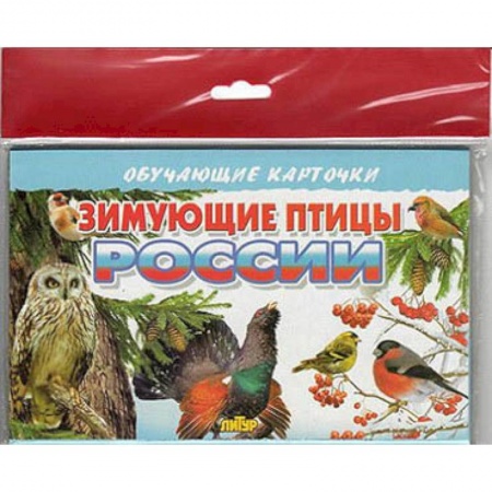 Учителям, педагогам, воспитателям, книга Зимующие птицы России