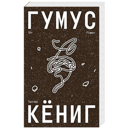 Классика, современная литература, книга Гумус