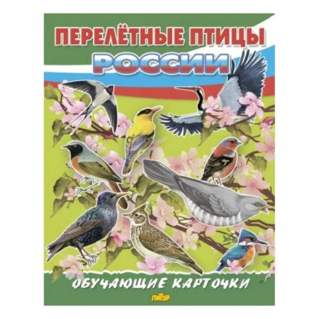 Познавательная литература, книга Перелетные птицы России
