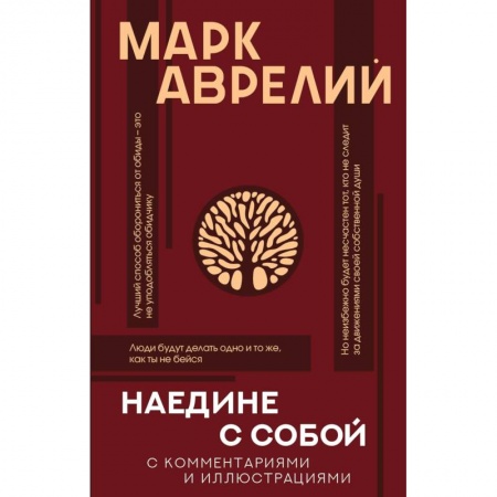 Общественные и гуманитарные науки, книга Наедине с собой с комментариями и иллюстрациями