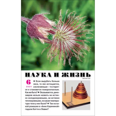Публицистика, книга Наука и жизнь. 2024. № 6