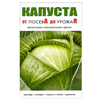Капуста.От посева до урожая
