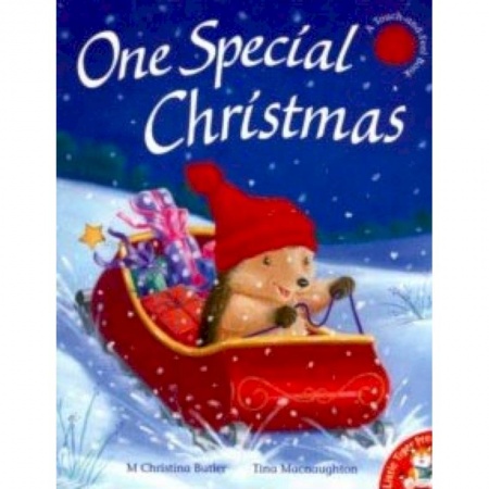 Школьникам и абитуриентам, книга One Special Christmas