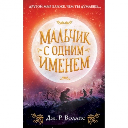 Проза для детей, книга Мальчик с одним именем