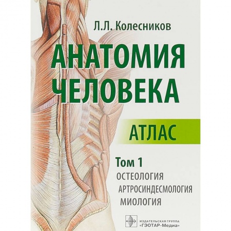 Естественные науки, книга Анатомия человека. Атлас в 3-х томах. Том 1. Остеология, артросиндесмология, миология