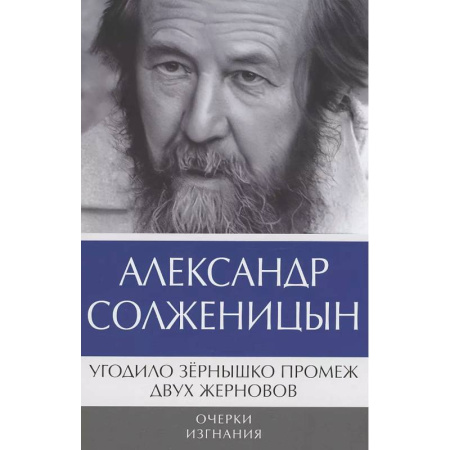Классика, современная литература, книга Угодило зернышко промеж двух жерновов. Очерки изгнания