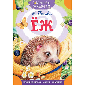 Еж Еж