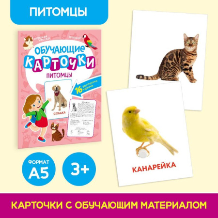 Книги для дошкольников (4-6 лет), книга Питомцы. 16 двусторонних карточек
