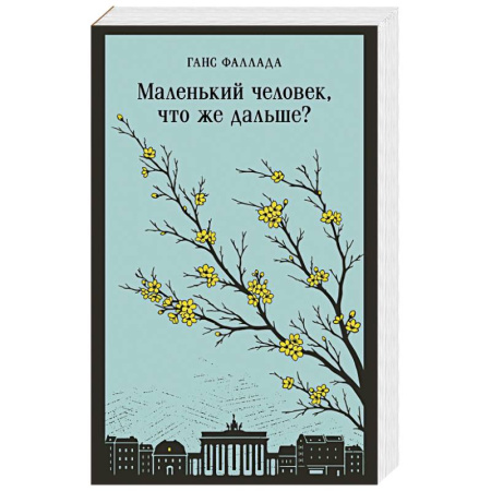 Классика, современная литература, книга Маленький человек, что же дальше?