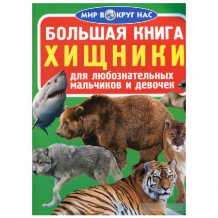 Познавательная литература, книга Большая книга. Хищники. Для любознательных мальчиков и девочек