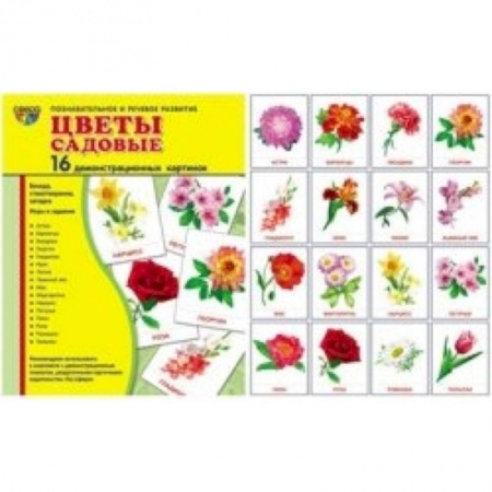 Книги, книга Цветы садовые. 16 демонстрационных картинок