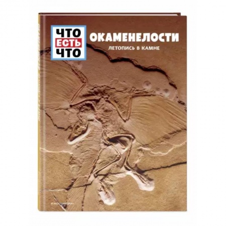 Познавательная литература, книга Окаменелости. Летопись в камне