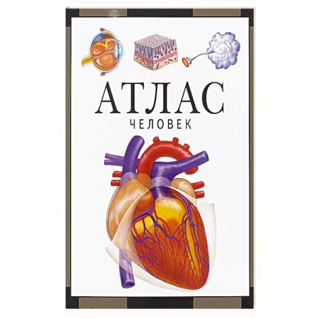 Общие справочники, книга Атлас.Человек