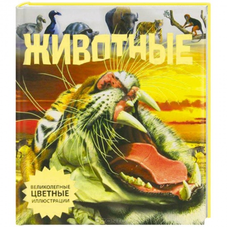 Книги, книга Животные