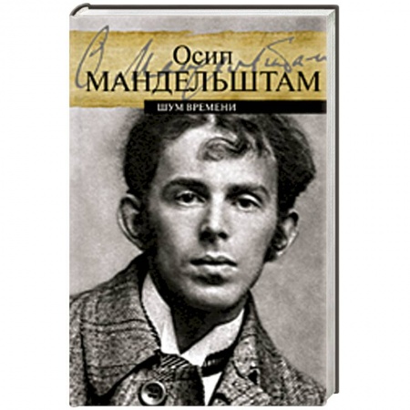 Книги, книга Шум времени