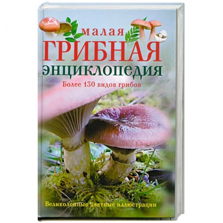 Охота. Рыбалка. Собирательство, книга Малая грибная энциклопедия