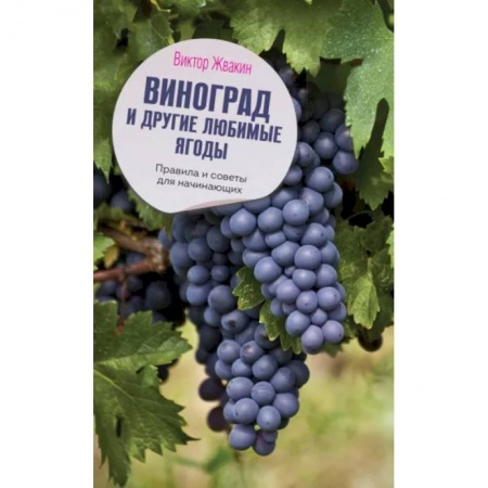 Сад, огород, цветы, дизайн участка, книга Виноград и другие любимые ягоды. Правила и советы для начинающих