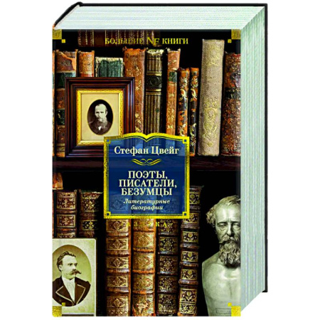 Мемуары, биографии, книга Поэты, писатели, безумцы. Литературные биографии