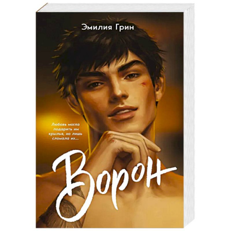 Любовный роман, книга На крыльях любви. Ворон