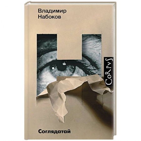 Классика, современная литература, книга Соглядатай