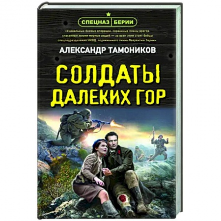 Детективы, триллеры, книга Солдаты далеких гор