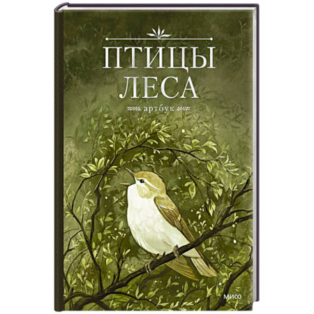 Рисование, живопись, книга Птицы леса. Артбук