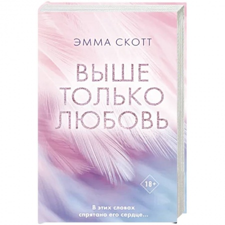 Классика, современная литература, книга Выше только любовь
