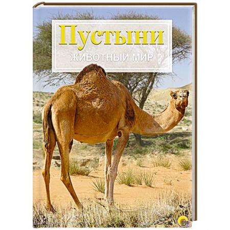 Книги, книга Пустыни