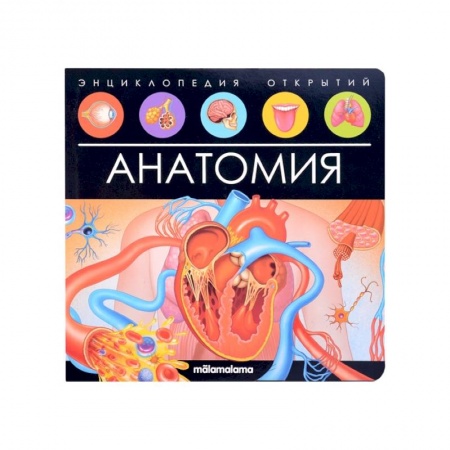 Книги для дошкольников (4-6 лет), книга Энциклопедия открытий. Анатомия