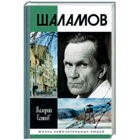 Мемуары, биографии, книга Шаламов