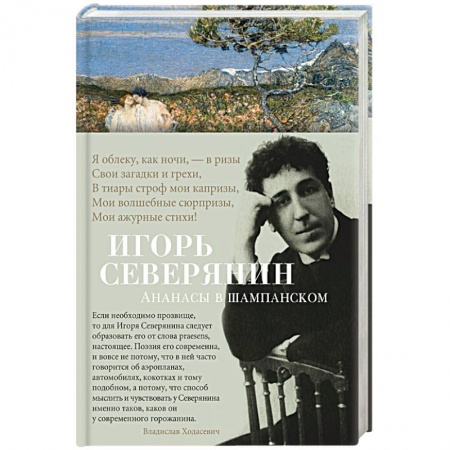 Классика, современная литература, книга Ананасы в шампанском