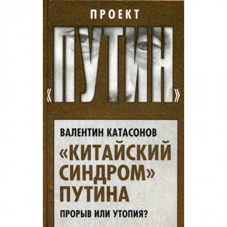 Общественные и гуманитарные науки, книга Китайский синдром Путина. Прорыв или утопия?