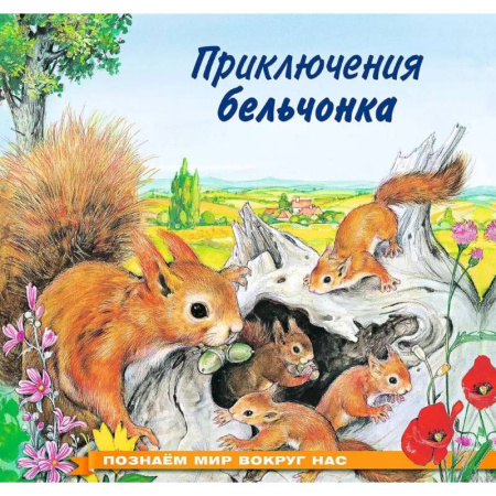 Познавательная литература, книга Приключения бельчонка