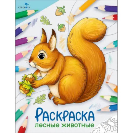 Досуг, творчество и кулинария, книга Лесные животные. Раскраска