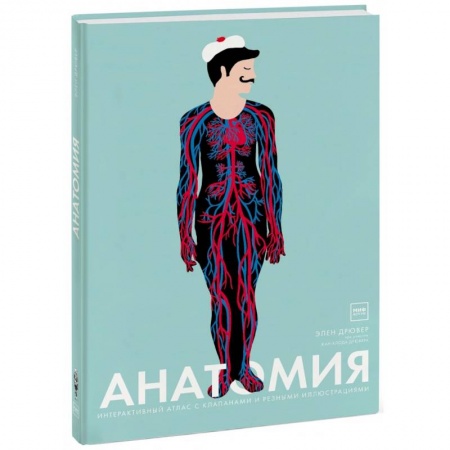 Познавательная литература, книга Анатомия