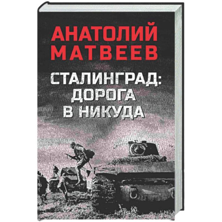 Детективы, триллеры, книга Сталинград: дорога в никуда
