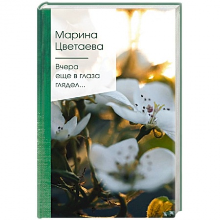 книга Вчера еще в глаза глядел... с доставкой по Франции Классика, современная литература, книга Вчера еще в глаза глядел...