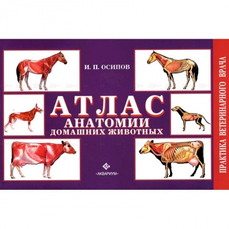 Ветеринария, книга Атлас анатомии домашних животных