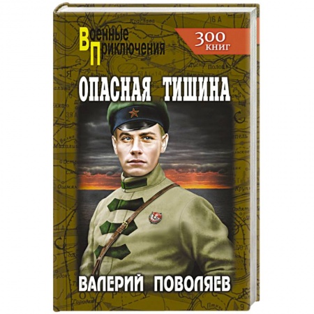 Книги, книга Опасная тишина