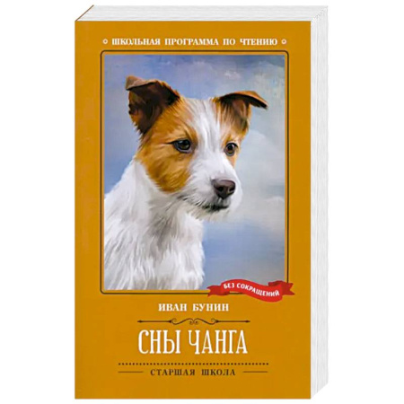 Проза для детей, книга Сны Чанга. Рассказы и повести