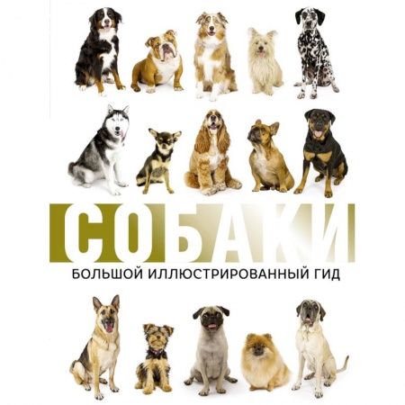 Уход за животными, книга Собаки. Большой иллюстрированный гид